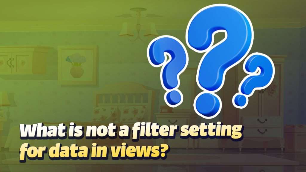 What is not a filter setting for data in views? - GMB Crush